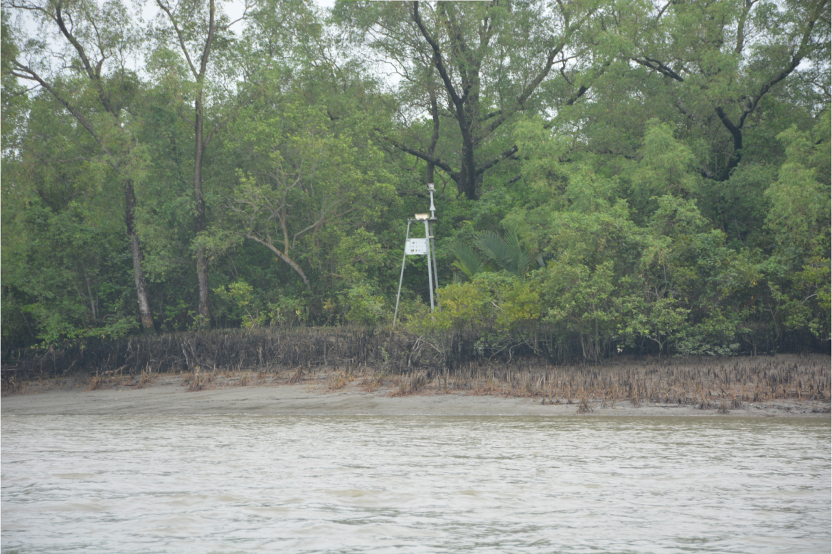 Sundarbans